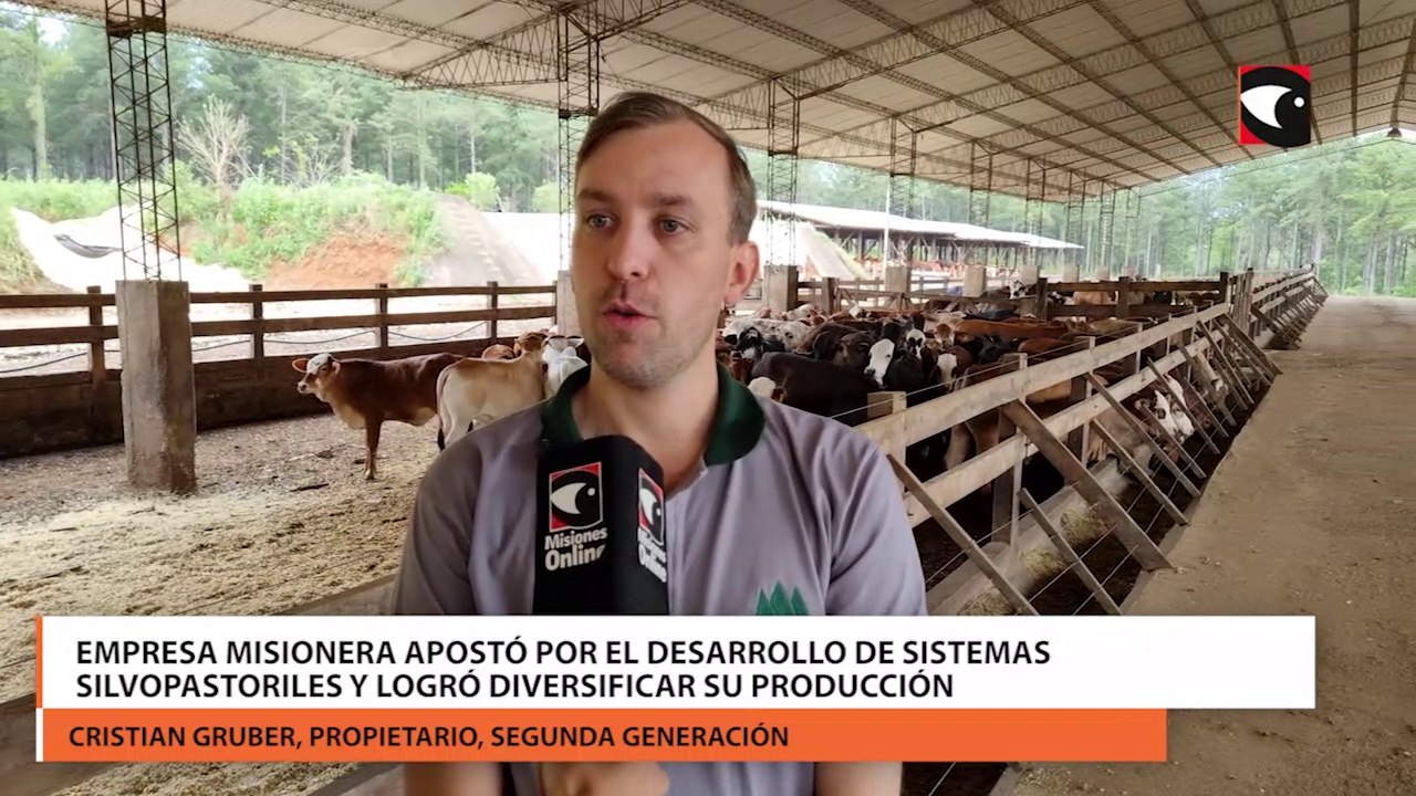 Empresa misionera apostó por el desarrollo de sistemas silvopastoriles y logró diversificar su producción