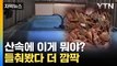 [자막뉴스] 산속에 비밀스러운 시설...빵게가 우르르 / YTN