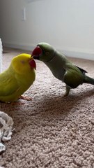 Practicing His Poses For Fashion Week