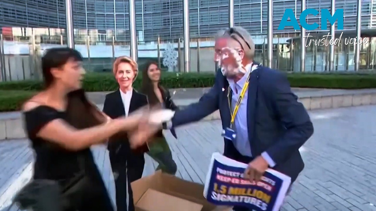 ‘I love cream cakes’: Ryanair CEO hit with cream pies by climate protesters