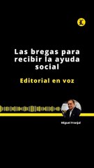 EDITORIAL | LAS BREGAS PARA RECIBIR LA AYUDA SOCIAL