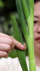 Babies Funny Moments |Cute Babies | Naughty Babies | Funny Babies | Beautiful Babies #cutebabies #4u