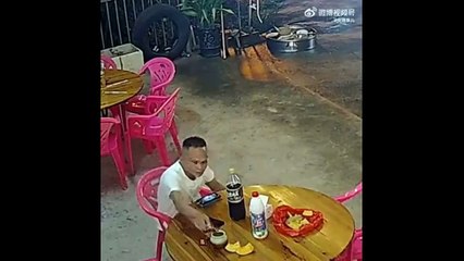Il pensait manger son repas tranquillement en terrasse... Chanceux