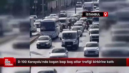 İstanbul'da D-100 Karayolu’nda koşan başı boş atlar trafiği birbirine kattı