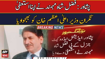 Additional Advocate General KP Fazal Shah Mohmand