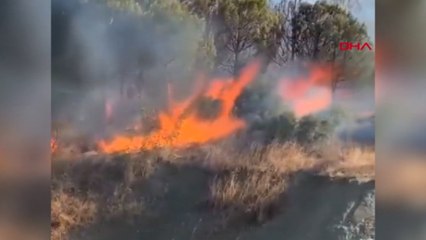 Çanakkale'deki yangın, 16 saatte kontrol altına alındı