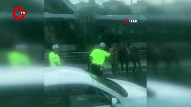 D-100 Karayolu’nda koşan başı boş atlar trafiği birbirine kattı