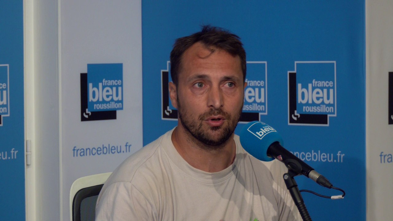 Vendanges : la situation dans les Pyrénées-Orientales est "catastrophique", selon les vignerons