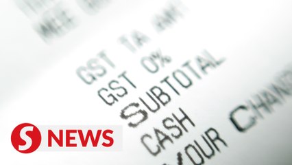 12MP review: Option of reintroducing GST remains, says Rafizi