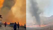 Ada 'Tornado Api' Muncul di Lokasi Kebakaran Savana Gunung Bromo #Shorts
