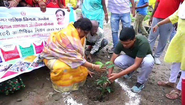 Plants planted today will improve the environment tomorrow