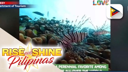 Pilipinas, muling hinirang na 'Asia's Leading Dive Destinations' ng World Travel Awards