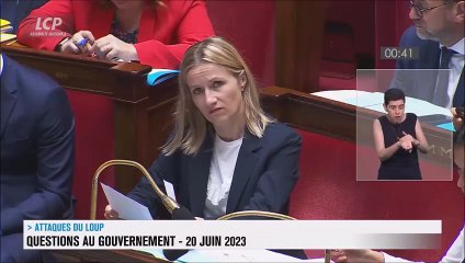 Ce n’est pas le loup que nous devons réguler, mais les attaques