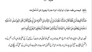 Sahih Bukhari Hadith (Hadees Sahih Bukhari 359) #bayan #hadees #hadith  #islamic