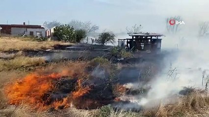 Çorlu'da çıkan anız yangınında köpekler son anda kurtarıldı