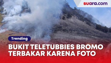 Bukit Teletubbies Bromo Terbakar karena Pengunjung Foto Prewedding Nyalakan Flare, Pelakunya Malah Santai
