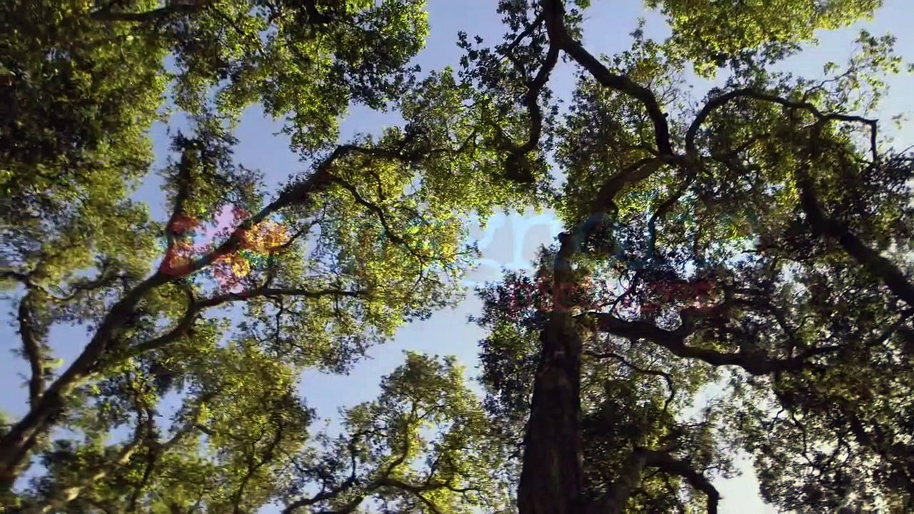 Joan Baez I Am A Noise Trailer OV