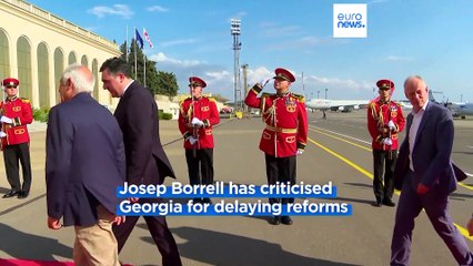 Georgia needs sweeping reforms to get EU candidate status, warns Josep Borrell
