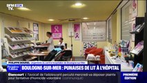 Infestées par des punaises de lit, les urgences de Boulogne-sur-Mer ferment pendant 24h