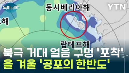 북극에 거대 얼음 구멍 '포착'...혹한 몰고 올 공포의 한반도 [Y녹취록] / YTN