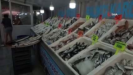 Muğla'da taze balıklar tezgahlardaki yerini aldı