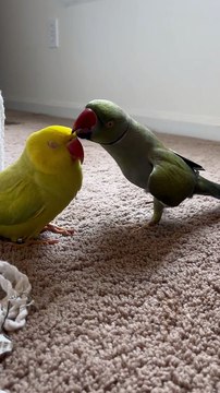 Practicing His Poses For Fashion Week