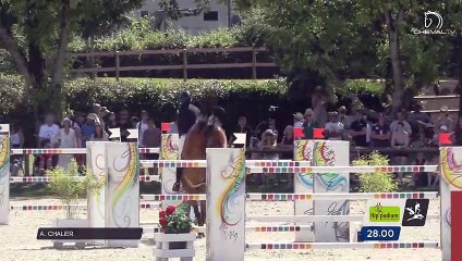 Grand National FFE - AC Print - CSO | Cluny (FRA) | Alice CHALIER | APRIORI D'YVMANE