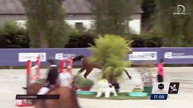 Grand National FFE - AC Print - CSO | Notre-Dame d'Estrées (FRA) | Jerome COULOMBIER | CHIPIE CHARBONIERE