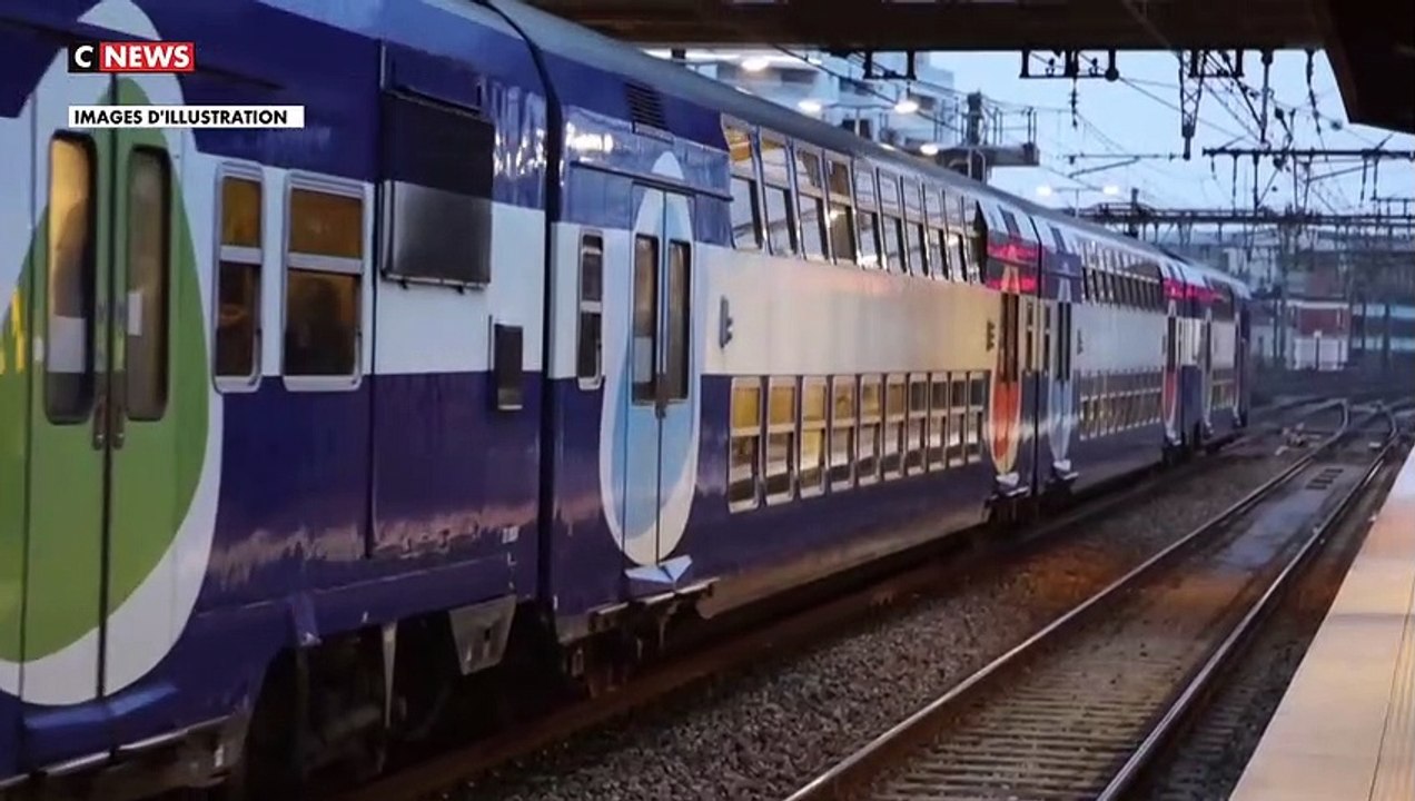 Un "pass rail" sur le modèle allemand, souhaité par Emmanuel Macron pour les voyageurs des transports publics en France, sera destiné à tous les passagers "quel que soit leur âge"