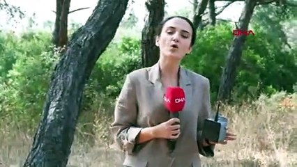 İstanbul'da orman yangınları için yeni önlem