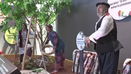 Dünyanın ilk ve tek fıstık müzesi Gaziantep'te