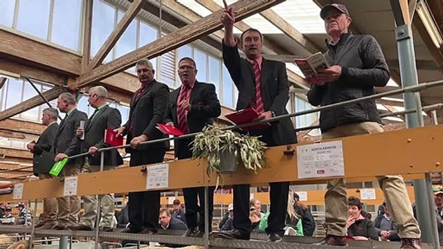 Royal Round-up Day 7