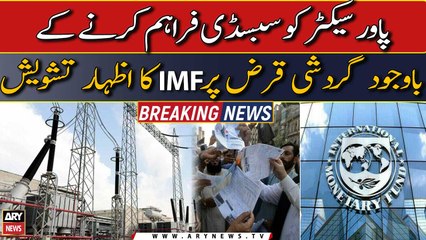 IMF expresses concern over revolving debt despite providing subsidies to power sector