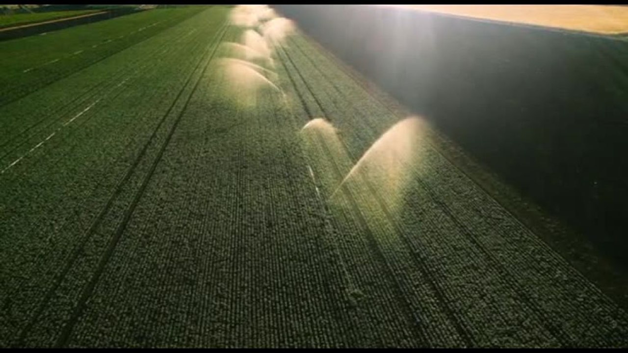 Acqua, Acea: serve una rete nazionale di trasporto integrata