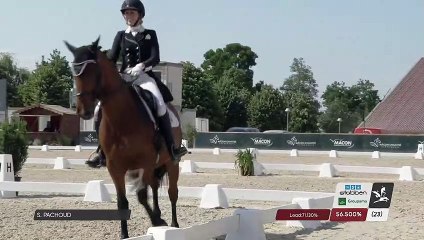 Grand National FFE - AC Print - Dressage  | Mâcon Chaîntré (FRA) | Severine PACHOUD | DESPERADO