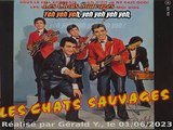Les Chats Sauvages & Dick Rivers_Un p'tit je ne sais quoi (One track mind) (Chœurs)(1962)karaoké