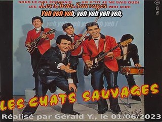 Les Chats Sauvages & Dick Rivers_Un p'tit je ne sais quoi (One track mind) (Chœurs)(1962)karaoké