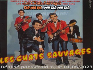 Les Chats Sauvages & Dick Rivers_Un p'tit je ne sais quoi (One track mind)(1962)