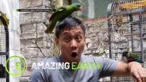 Amazing Earth: Mikey Bustos’ huge mansion is full of exotic animals?!