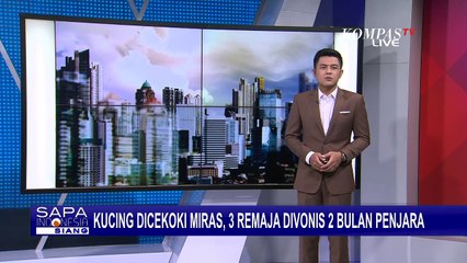 3 Remaja yang Cekoki Miras ke Kucing Divonis 2 Bulan Penjara! Ini Putusan PN Padang