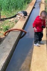 Very Funny Videos  will make you laugh so hard