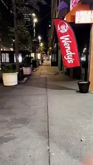 New York'ta fare istilası
