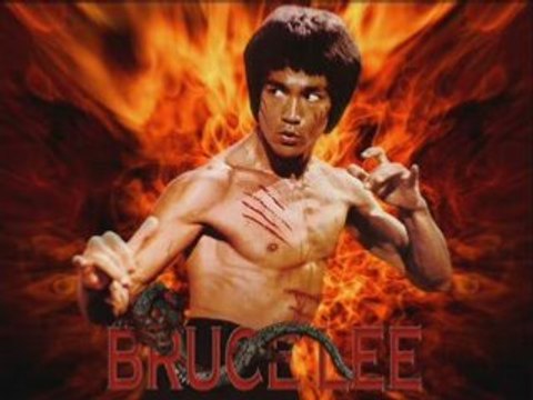 street fight jeet kune do wing chun palestine