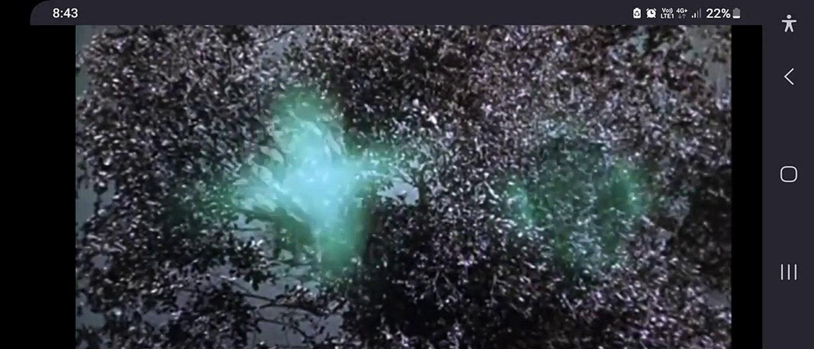 STAR TREK TOS: THE SQUIRE OF GOTHOS