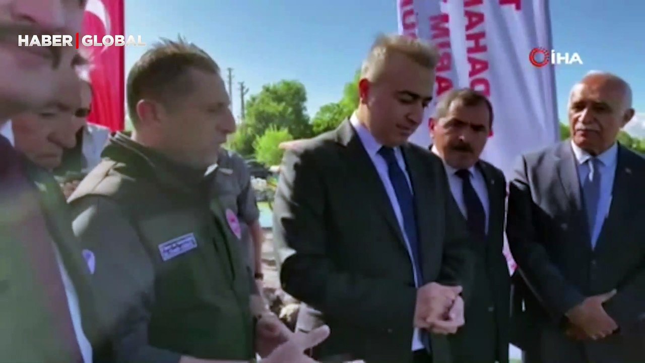 Çıldır'daki doğal yaşama 150 bin yavru sazan desteği
