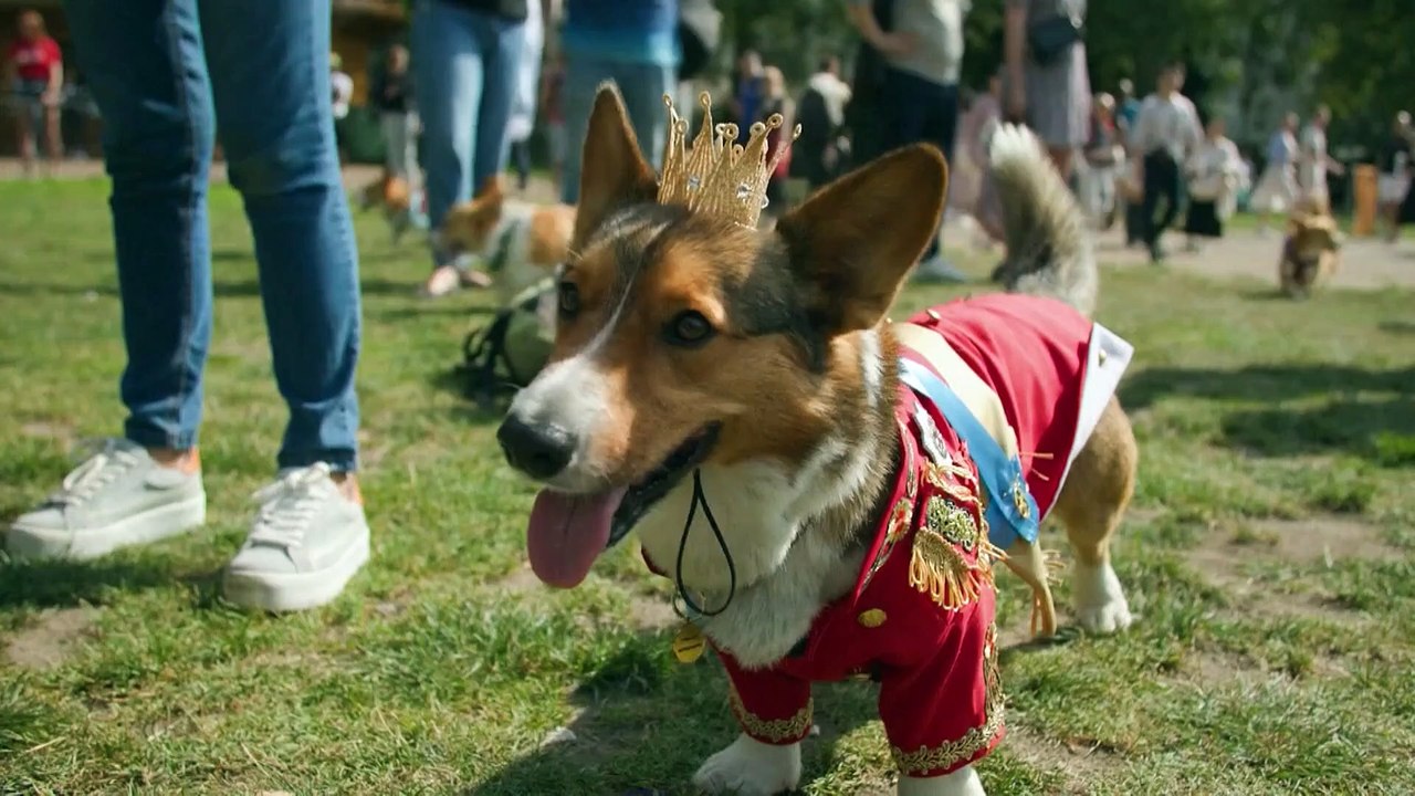 Bilder der Woche: Corgis-Parade, König im Kilt und Muskelspiele in Kathmandu