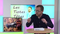 Les tiotes têtes épisode 12 du 29 07 23