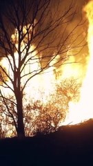 Jóvenes por el Clima: "Milei es un negacionista del cambio climático"