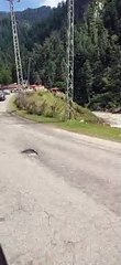 Rewayat Restaurant Balakot Road Mansehra Pakistan