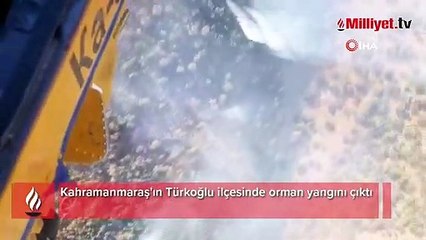 Kahramanmaraş'ta orman yangını! Ekipler sevk edildi